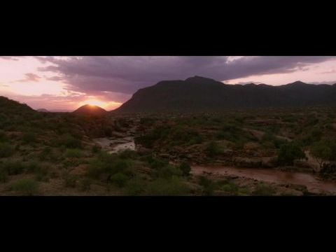 Veszélyeztetett faj