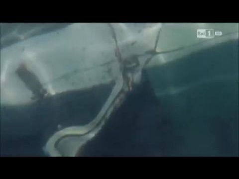 Halászpolgármester