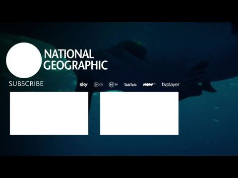 Fenntartható bolygó: Az óceánok hősei