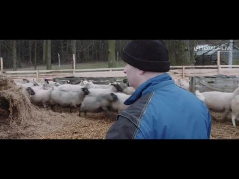 Wolves at the Borders