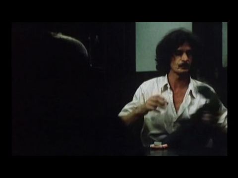 Die wunderbaren Jahre