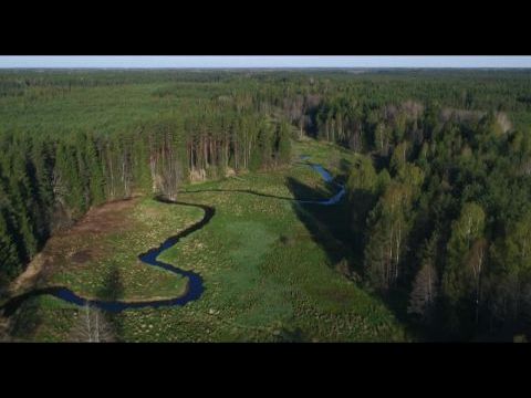Fred Jüssi. Olemise ilu