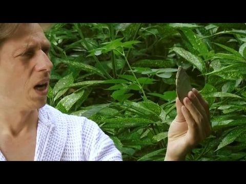 Neander-Jin: The Return of the Neanderthal Man