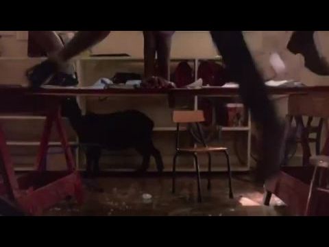 Utánam a vízözön