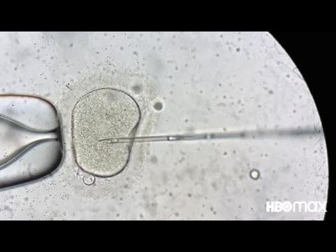 Szépségipar titkai