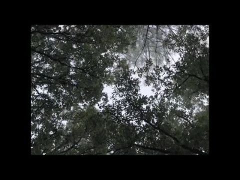 Una película póstuma