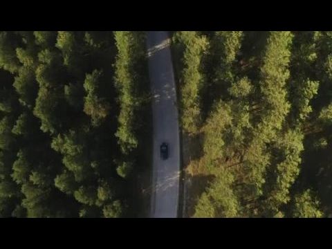 Ösztönző szerelem