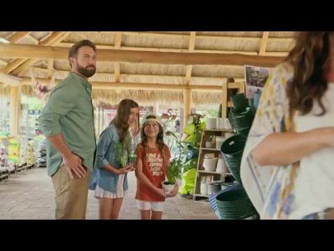 Szárba szökkent szerelem