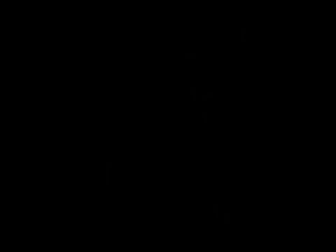 Katt Williams: Woke foke