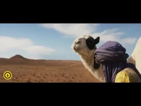 Tehu - Egy kis teve nagy kalandja