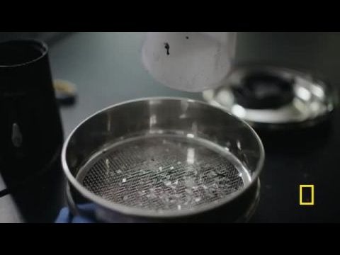 Tudományos vetélkedő: A sorozat