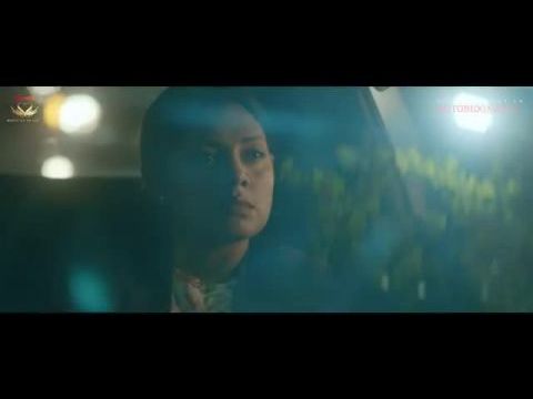 Something Like an Autobiography