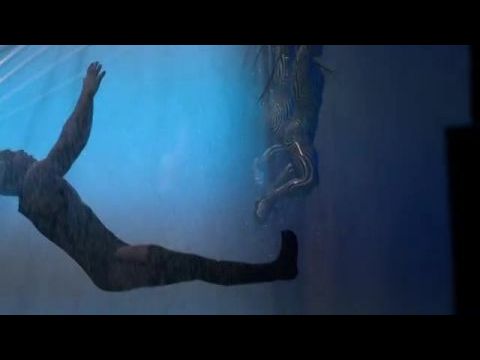 Cirque Du Soleil: Without a Net