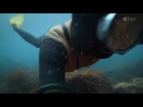 Az utolsó tengeri nők