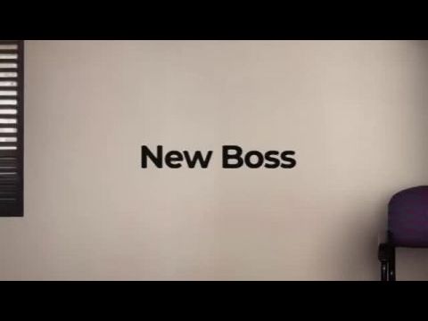 The Office: Australia - 1. évad