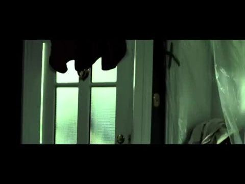 The Aggression Scale