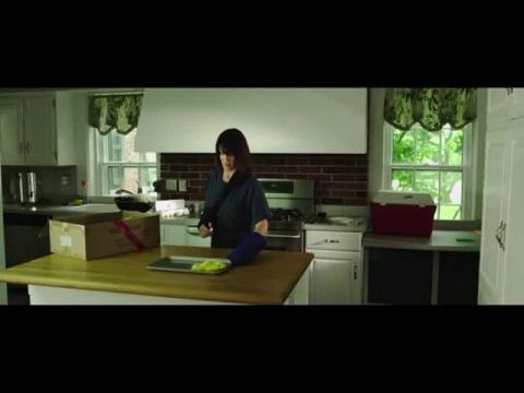 The Aggression Scale