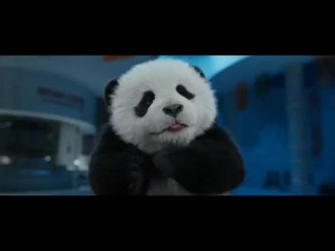 Panda projekt