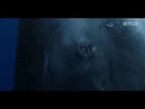 Óceánjaink - 1. évad