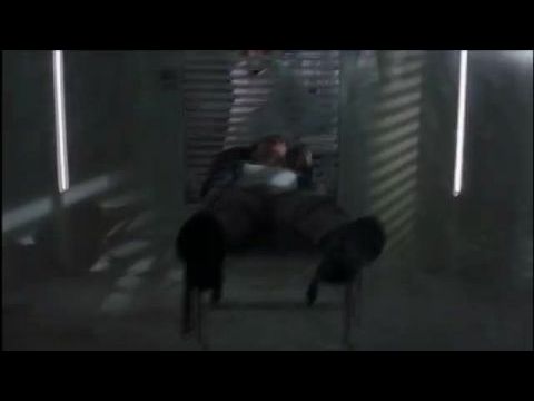 Óriáspókok 2: Az új invázió