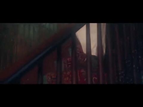 POE 4: The Black Cat