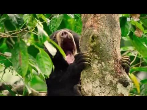 Az állatok titkos élete - 1. évad