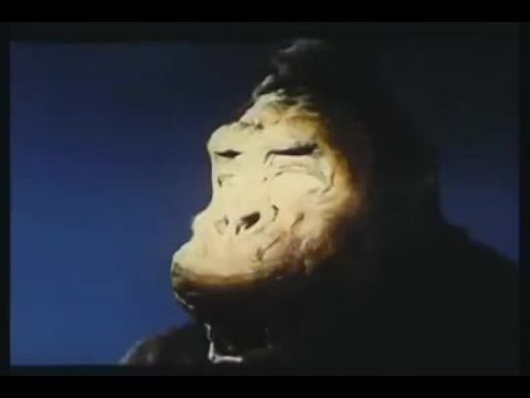 Kingu Kongu no gyakushû