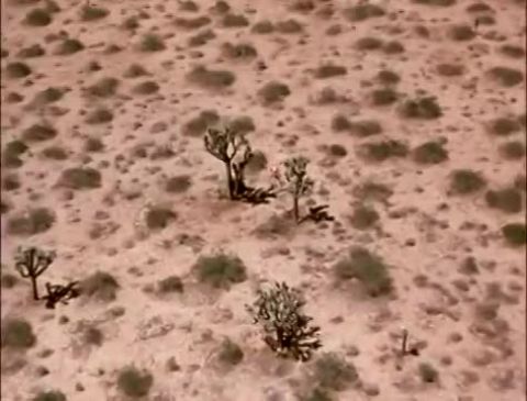 Látástól Mikulásig