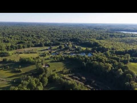 This Is the Tom Green Documentary