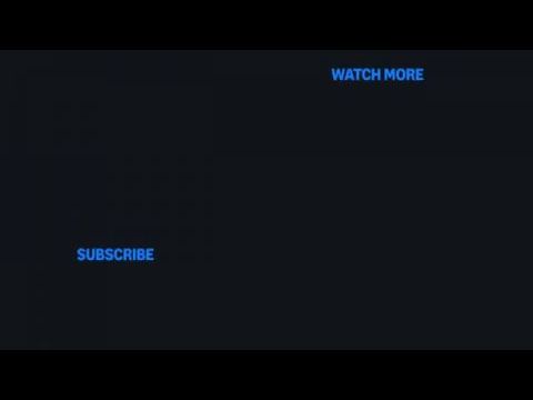 Iliza Shlesinger: A Different Animal