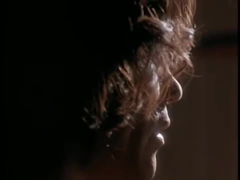 Night Hunter - Vámpírvadászat