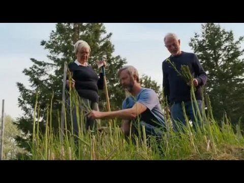 Tom Green Country - 1. évad