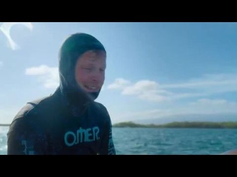 A pingvinek titkai - 1. évad