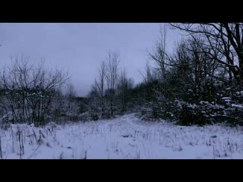 Hell House LLC: Lineage