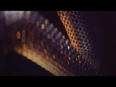 Az éhezők viadala: Az aratás hajnala