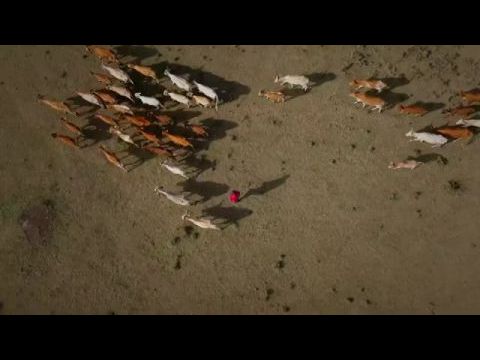 An Optimist’s Guide to the Planet