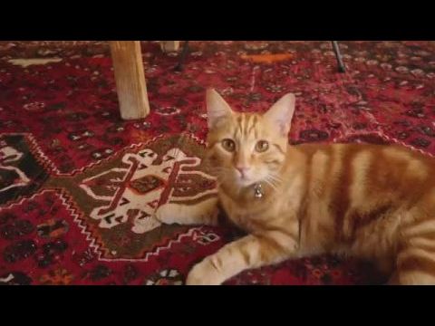 Go Gently - a fenntarthatóság nyomában