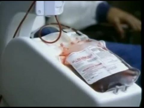 Az érzékek borzadalma