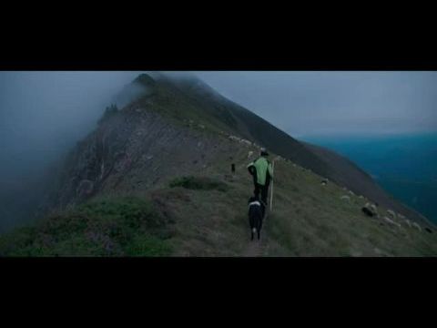 The Shepherd and the Bear