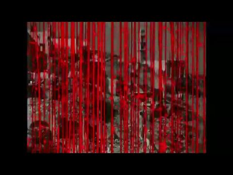 الفيلم عمل فدائي