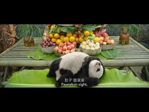 Panda Plan: The Magical Tribe