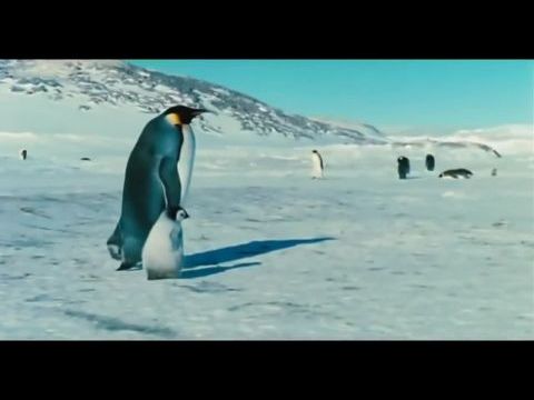 Pingvinek vándorlása