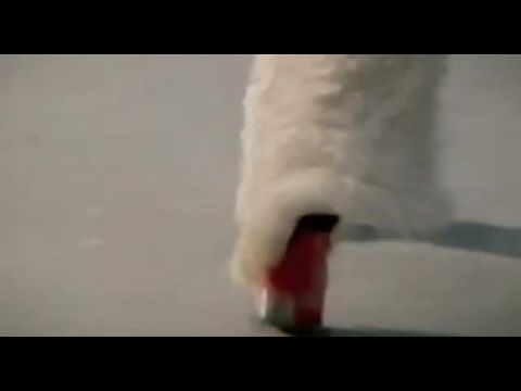 Nyomul a nyolcadik dimenzió