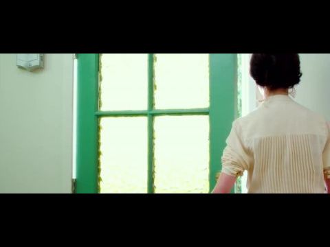 White Bird in a Blizzard