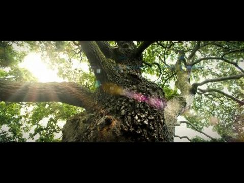 Kozmosz: Történetek a világegyetemről