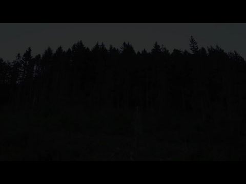 Valley of the Sasquatch