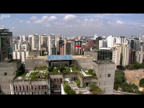 Brazília Michael Palinnel