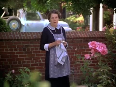 Érzelmek tengerében