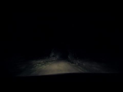 FPS: First Person Shooter