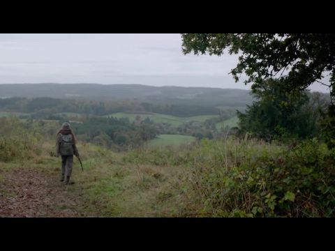 Molly Moon és a hipnózis könyve